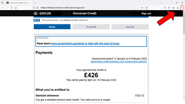 Screenshot of UC journal showing payment details